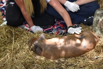 a group of people sitting around a pile of hay