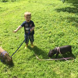 a little boy that is standing in the grass