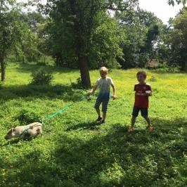 a group of people walking on a grassy field with trees in the background
