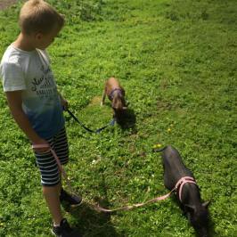 a little boy that is standing in the grass