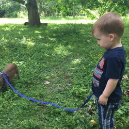 a young boy holding a kite while standing in the grass