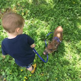 a little boy that is standing in the grass