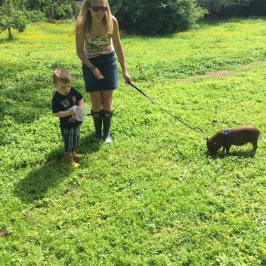 a person in a green field