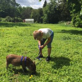 a boy in a green field