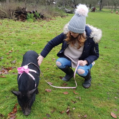 a person holding a dog in a field