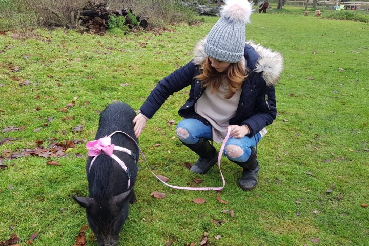 a person holding a dog in a field