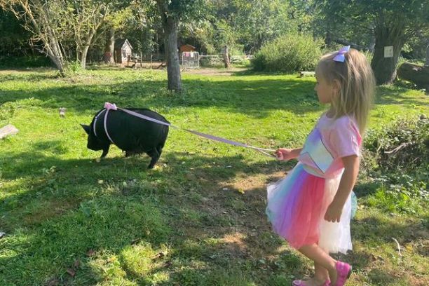a little girl that is standing in the grass