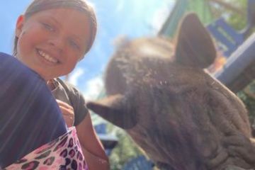 Child smiling next to a calm rhino in a sunny outdoor setting.