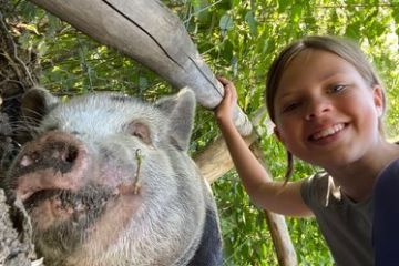 Child smiling beside a pig under a wooden fence with greenery background.