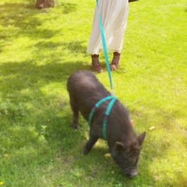 a person that is standing in the grass