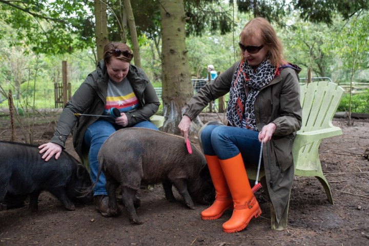 a group of people sitting at a park