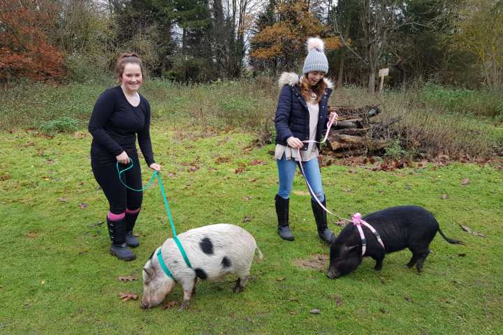 a group of people in a field with a dog