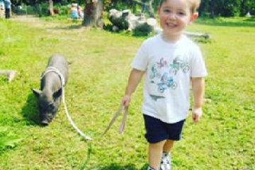 a young boy standing on a lush green field