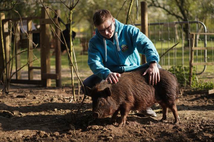 a man riding on the back of a sheep behind a fence
