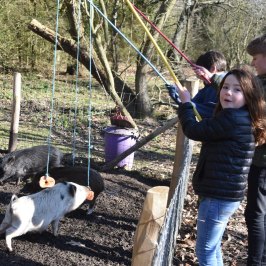 a person petting a dog on a leash