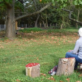 a person standing in a yard