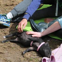 a person sitting on the ground
