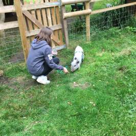 a little boy that is standing in the grass near a fence