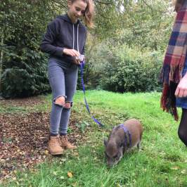 a couple of people that are standing in the grass
