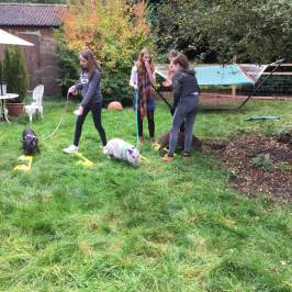 a group of people standing in a yard