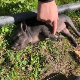 a man that is standing in the grass