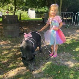 a little girl holding a dog in a park