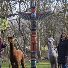 a group of people standing next to a dog