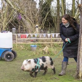 a woman with a dog on a leash