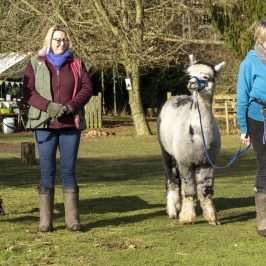 a man and a woman standing next to a horse