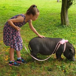 a little girl that is sitting in the grass