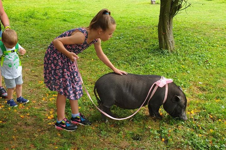 a little girl that is sitting in the grass