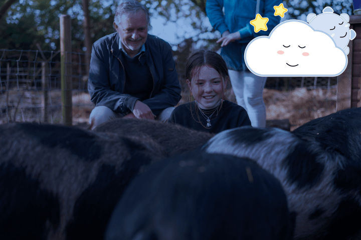 a person petting a cow