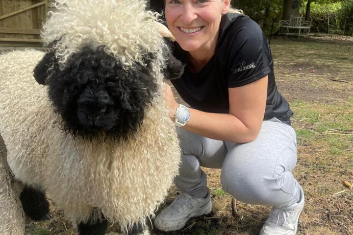 Person crouching next to a fluffy sheep with a black face and legs.