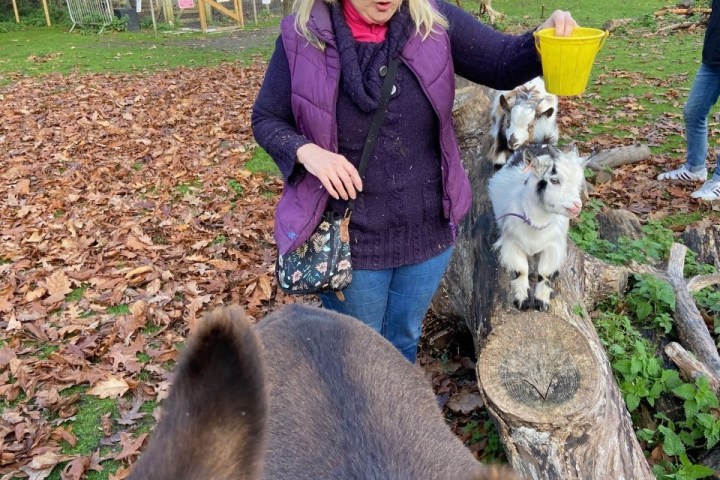 a person holding a dog