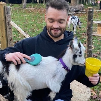 a dog sitting on a bench