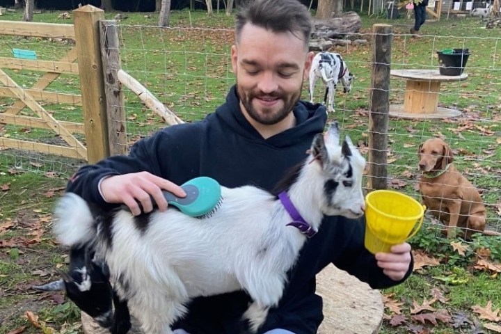 a dog sitting on a bench