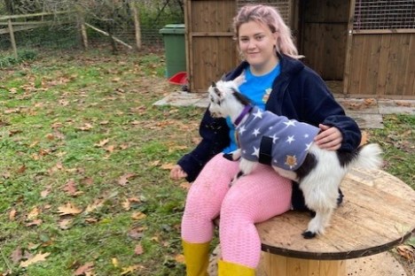 a person holding a dog