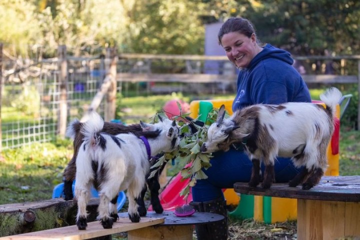 a person and a dog on a leash