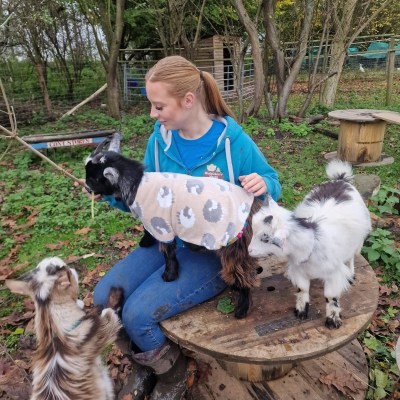 a person sitting on a bench with a dog