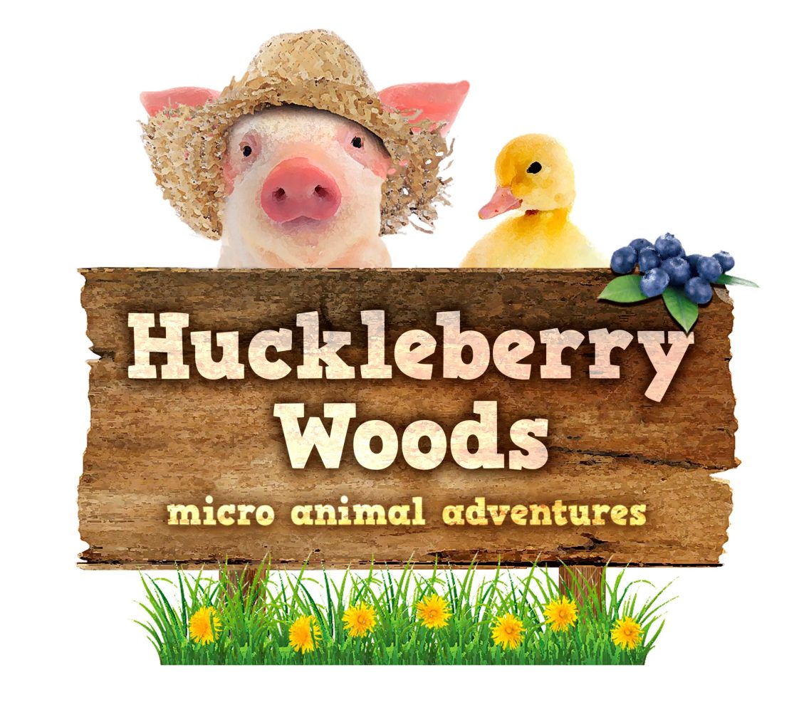 Huckleberry Woods