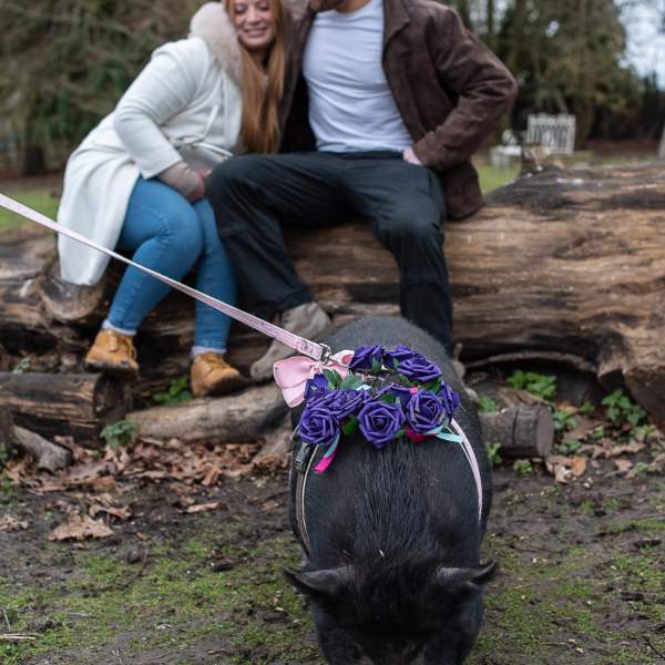 a person riding a bike down a dirt road