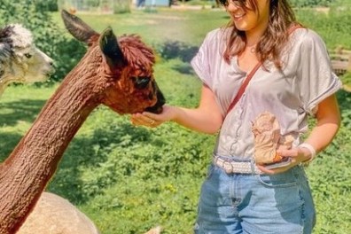 Feed the free ranging alpacas
