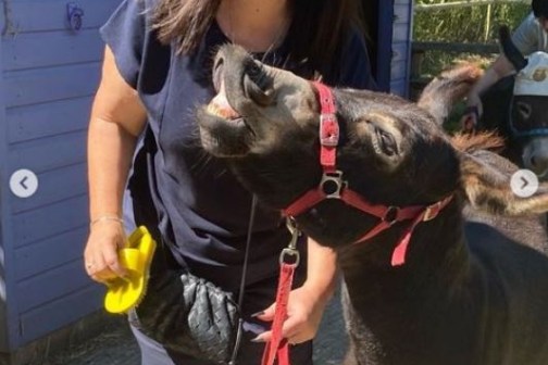a person standing next to a dog