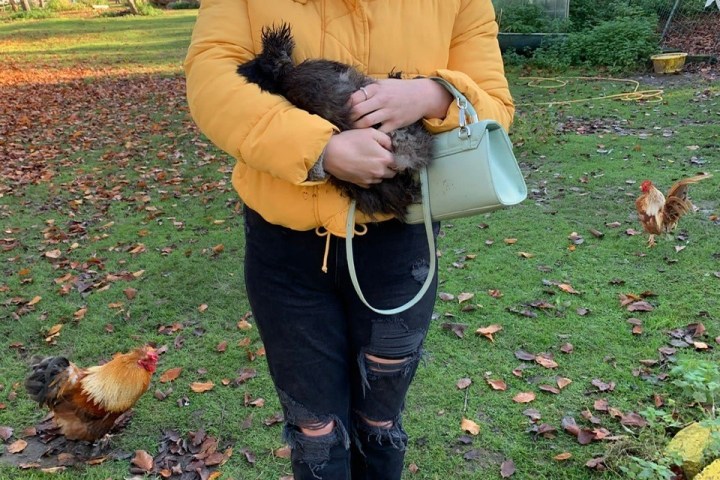 a woman holding a dog posing for the camera