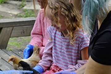 a little girl sitting on a bench