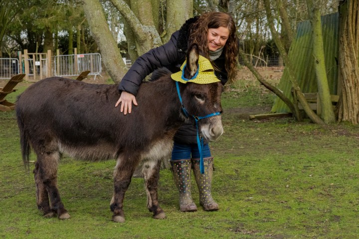 Woman smiling, petting a donkey wearing a hat in a grassy area with trees.