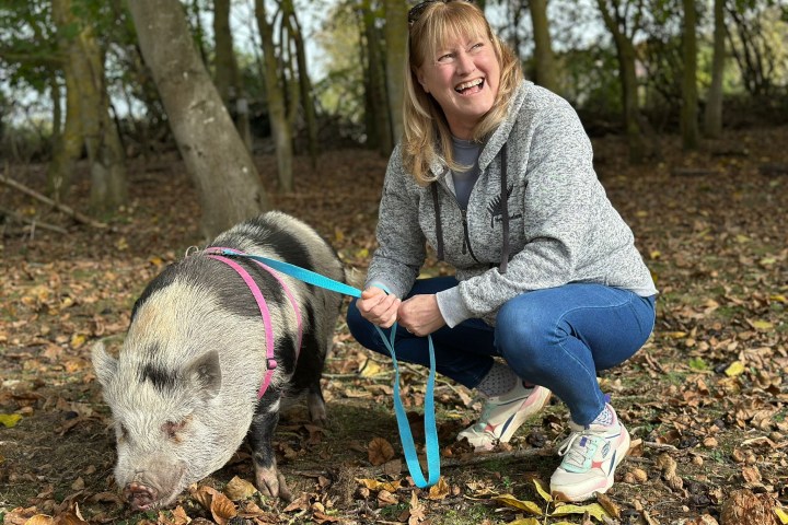 Woman smiling, crouching with small pig on a leash in a wooded area.