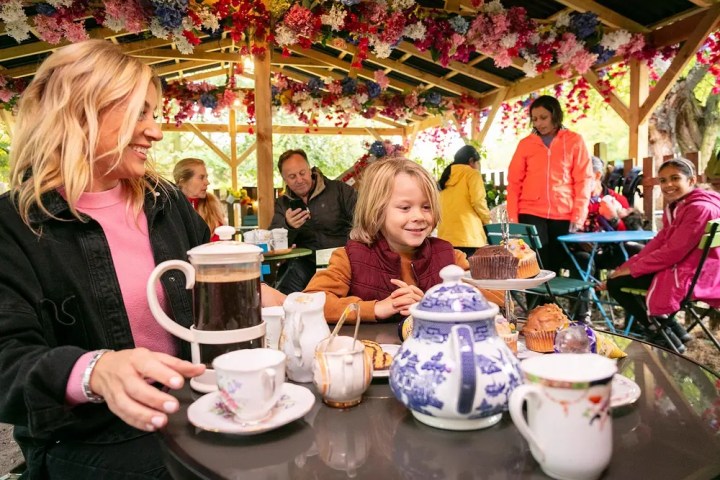 People enjoying tea and cupcakes under a flower-decorated canopy.
