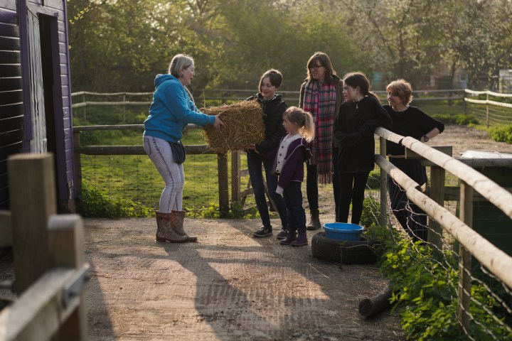 Person handing hay to children on a farm path